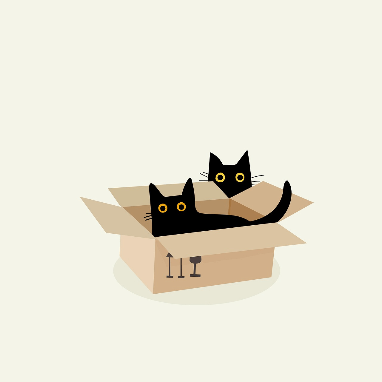 animation of cats playing in a box