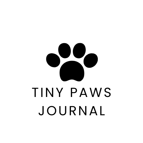 logo for Shadow and Solstice